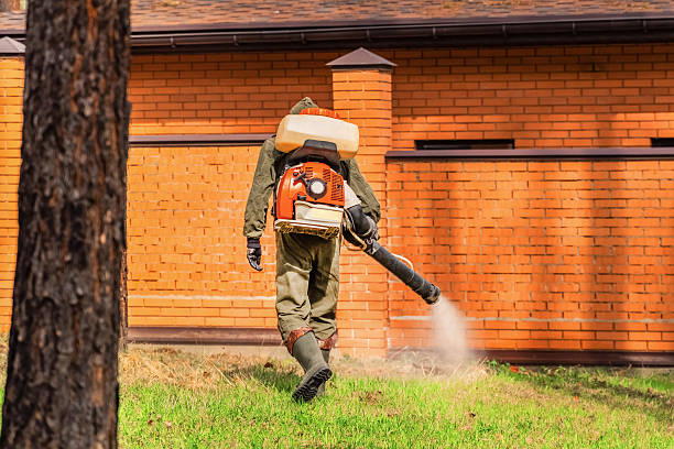 Trusted Emergency Pest Control service in Glen Rose, TX - Nex Pest Control